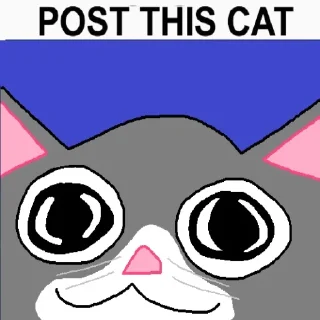 😻