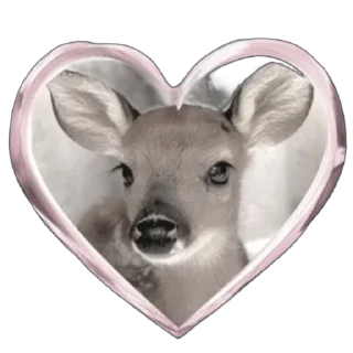 🦌