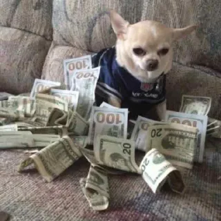 💵