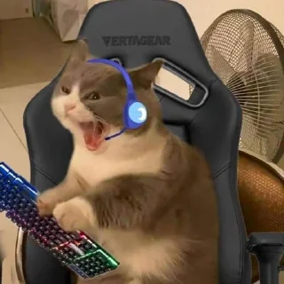 😠