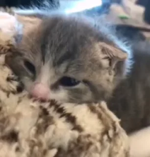 😴