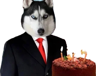🎂