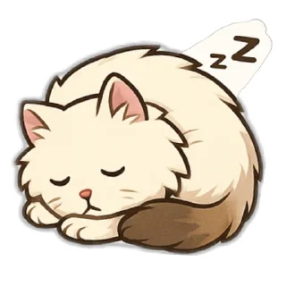 🐱