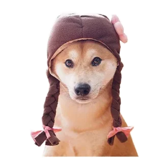 🐶