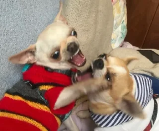 🧊
