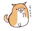 🐶