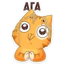 😼