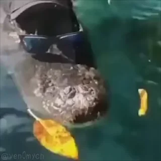 😎