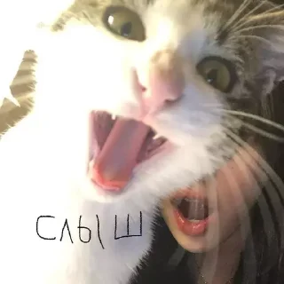 ☠️