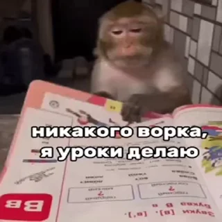 📒