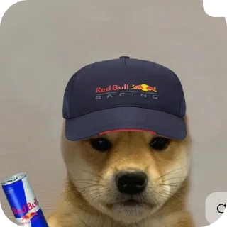 🐶