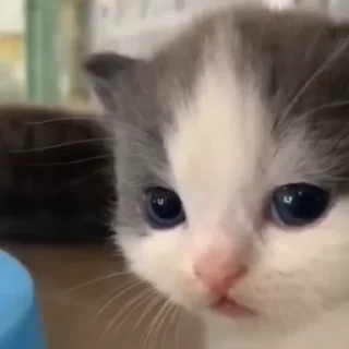 😊