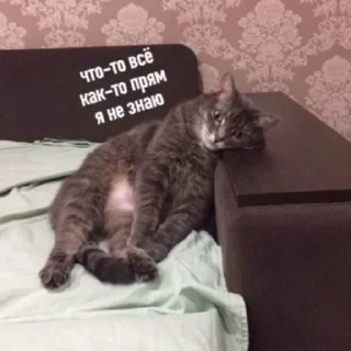 😋