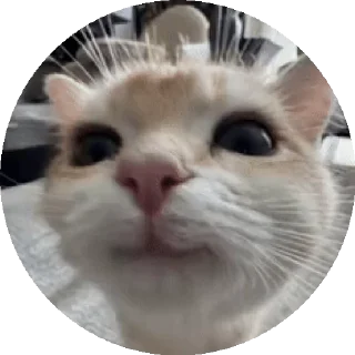 👀