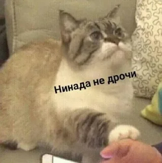 🥰