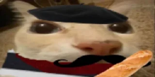 🇫🇷