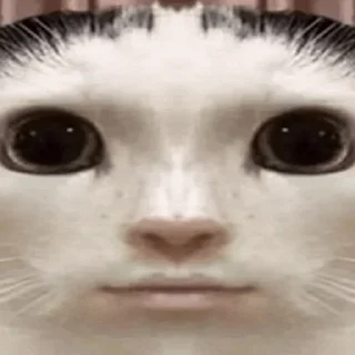 🪞