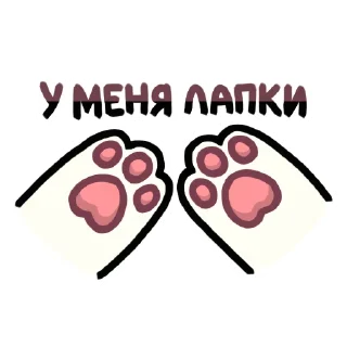 😺