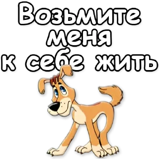 🙏