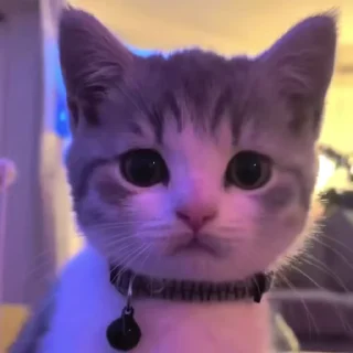 😐