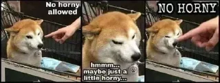 😆