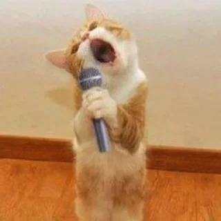 🎤