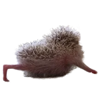 😝