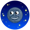 🌚