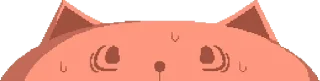 🙀
