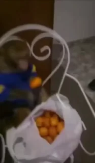 🍊