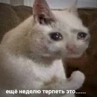 😫