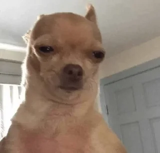 😒