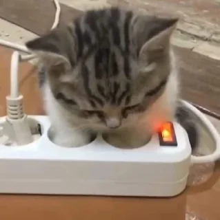 🤍