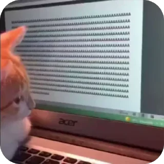😱