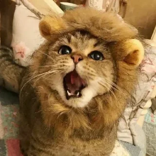 🙂