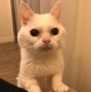😰