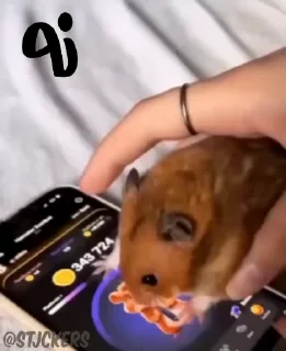 👎