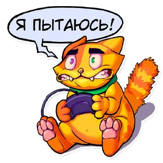 🙀