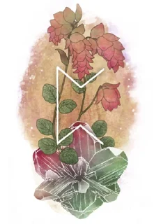 1️⃣