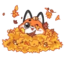 🍂