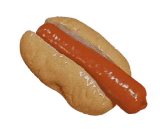 🌭