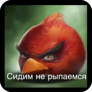 Сидим не рыпаемся | @nik1323maz
