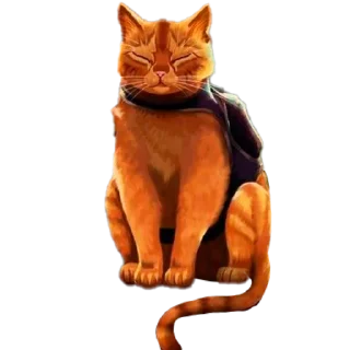 🐱