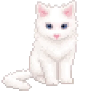 🐾