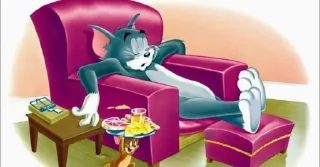 😴