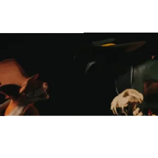 🕷️