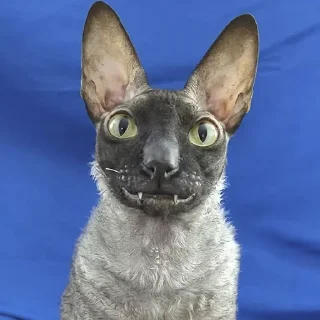😐