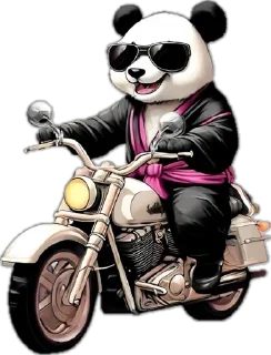 🏍️