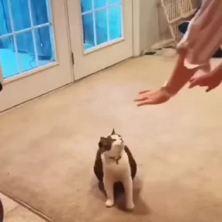 🤗