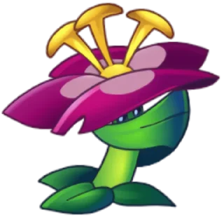 🌹